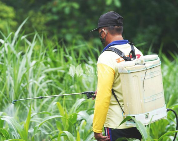 5-Alasan-anda-harus-beralih-ke-pupuk-organik