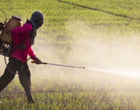 bahaya terselubung dari penggunaan pupuk kimia