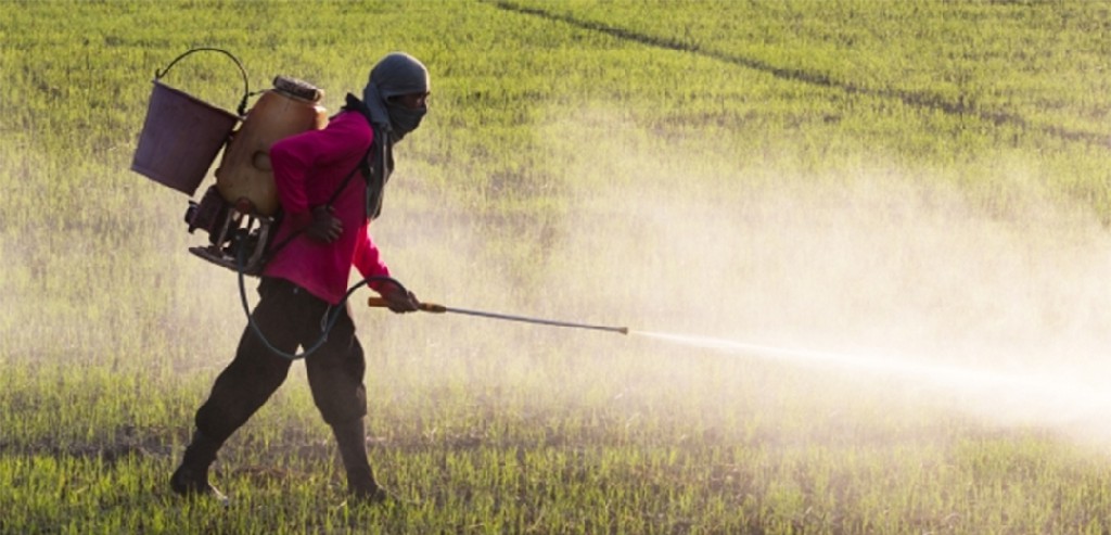 bahaya terselubung dari penggunaan pupuk kimia