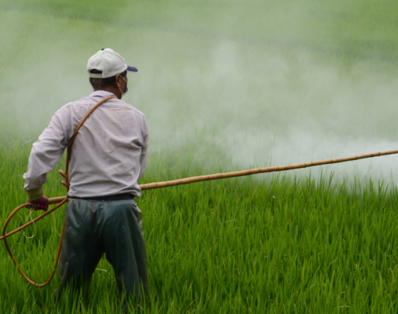 Bahaya Penggunaan Pestisida