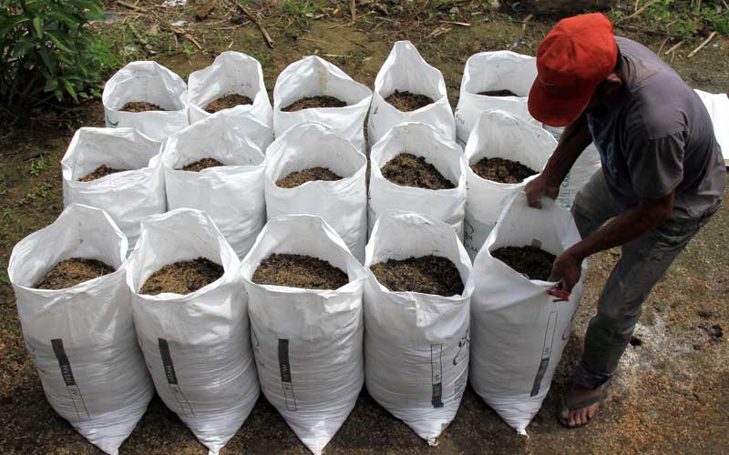 cara fermentasi pupuk kandang