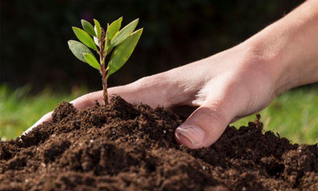 pengaruhnya ph tanah terhadap tanaman