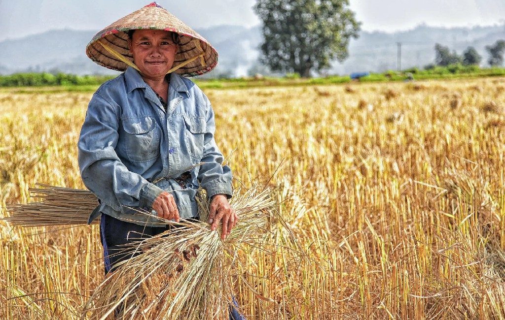 Artis yang kini banting profesi jadi petani
