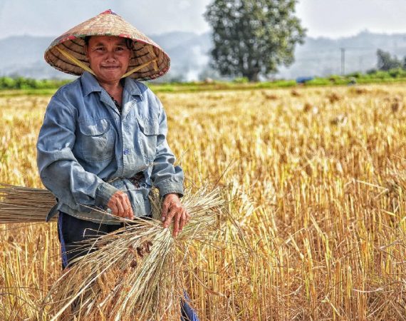 Artis yang kini banting profesi jadi petani