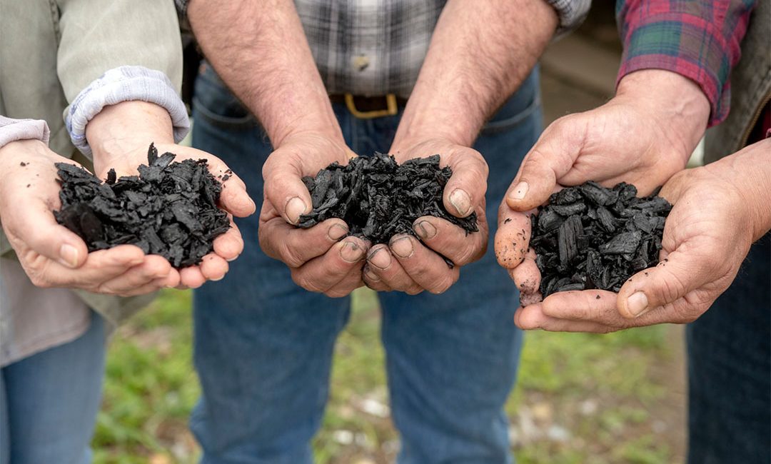 pemanfaatan biochar dalam pertanian