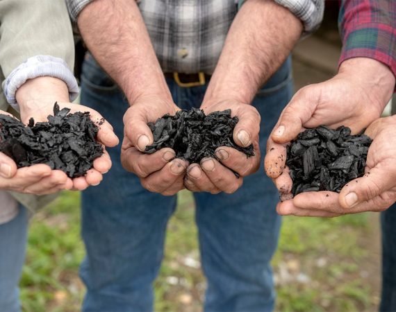 pemanfaatan biochar dalam pertanian